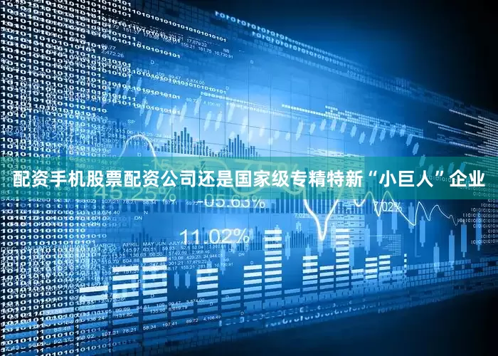 配资手机股票配资公司还是国家级专精特新“小巨人”企业