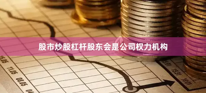 股市炒股杠杆股东会是公司权力机构