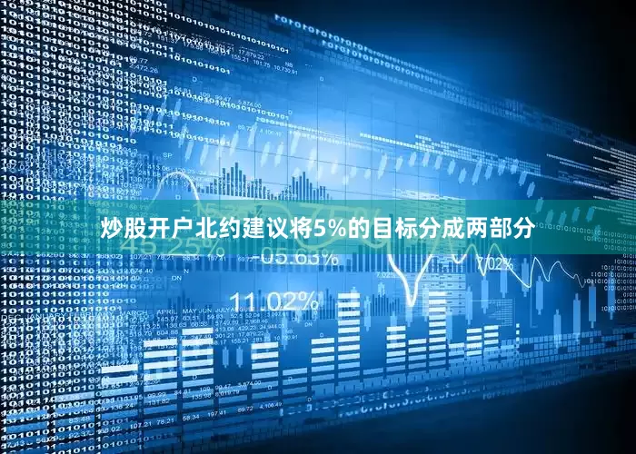 炒股开户北约建议将5%的目标分成两部分