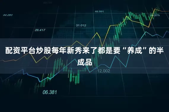 配资平台炒股每年新秀来了都是要“养成”的半成品