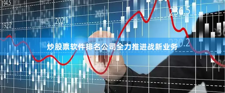 炒股票软件排名公司全力推进战新业务